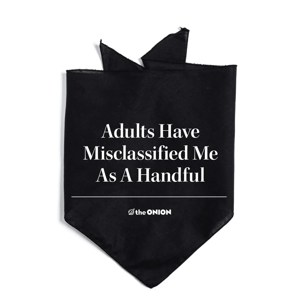 Adults Have Misclassified Me as a Handful Dog Bandana