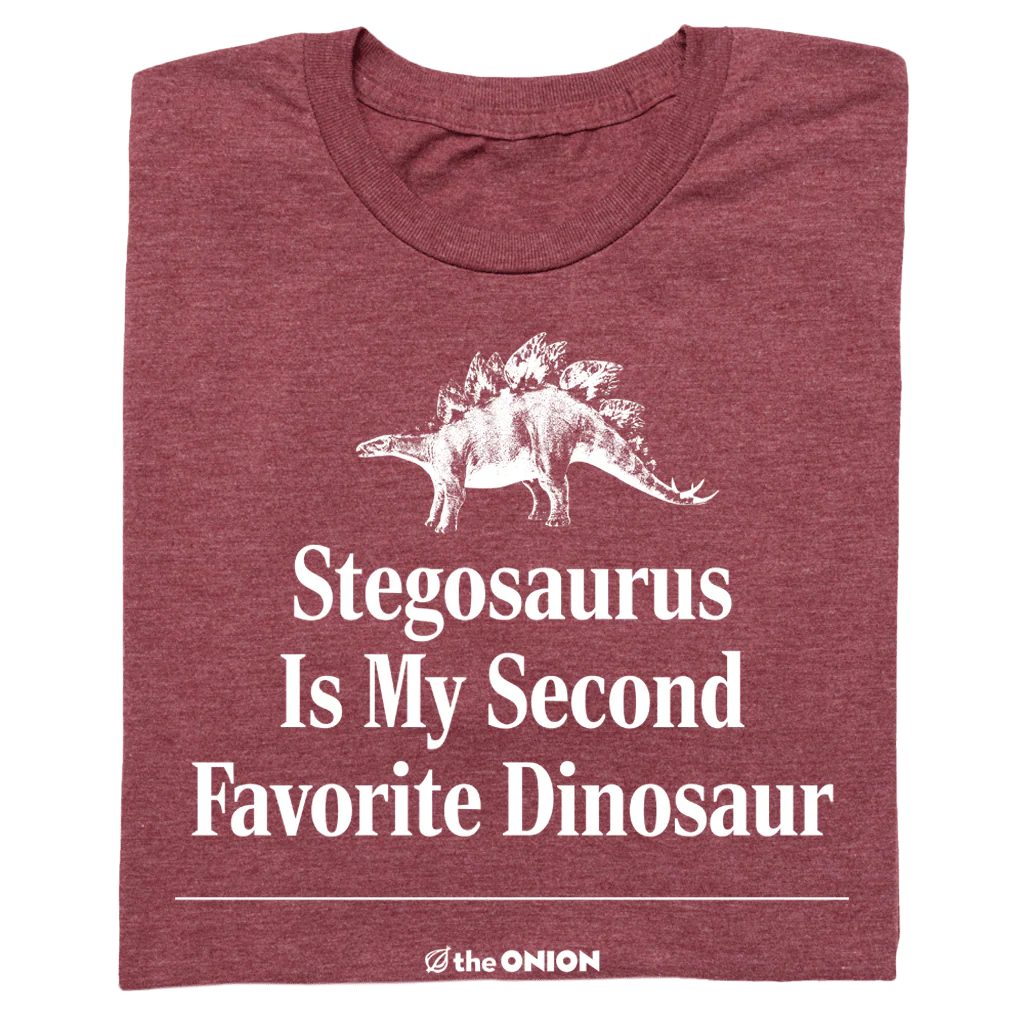 'Stegosaurus Is My Second Favorite Dinosaur' Graphic T-Shirt